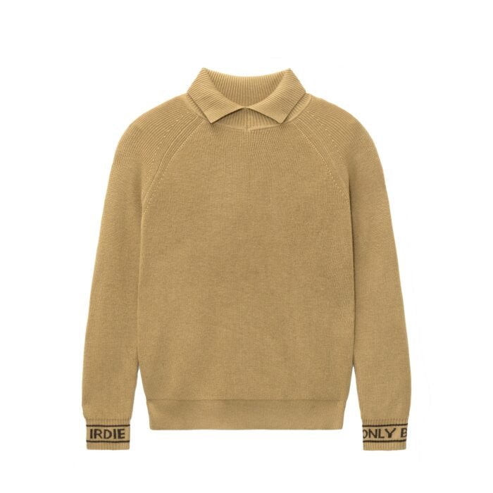 mens pullover sweaters roll neck 100 wool weight pullover sweaters mens Sweaters dealer Ainear-clothing