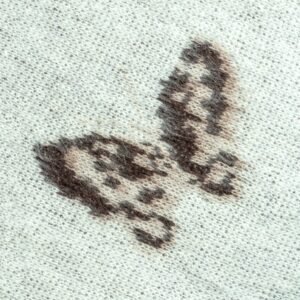 Mohair Cardigan Wholesale Butterfly Jacquard